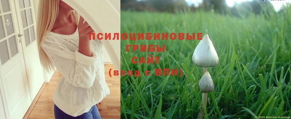 амф Сафоново
