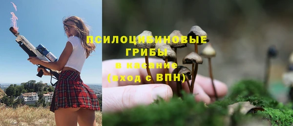 амф Сафоново