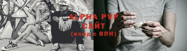 стаф Алексин