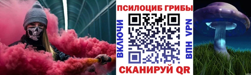 Псилоцибиновые грибы прущие грибы  купить наркотики цена  Петровск-Забайкальский 